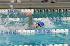 Swimming & Diving vs RWU  Swimming & Diving vs Roger Williams University. - Photo by Keith Nordstrom : Wheaton, Swimming